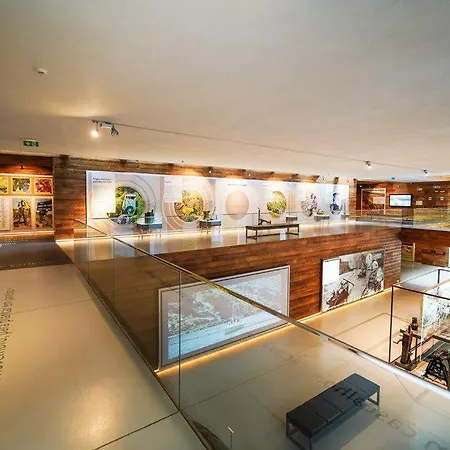 Casa Milita *