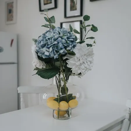 Casa Milita Apartment Sao Joao da Pesqueira